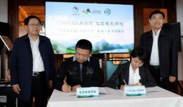 文平艺术院爆料视频,揭秘艺术界幕后风云