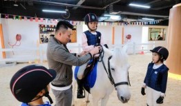 四川马小姐最新爆料视频,揭秘事件背后惊人真相